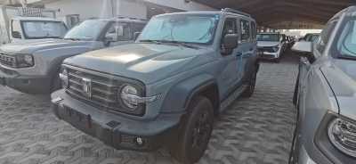 Tank 300 GWM Brand New