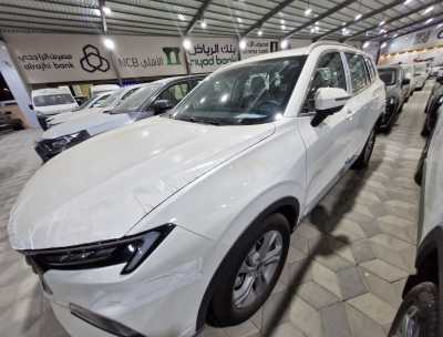  Ford / Territory Brand New Price in Saudi Arabia