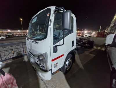  Isuzu Reward nq diyana new for sale in dammam ksa