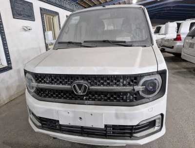  Vectory brand new pickup doubl for sale in dammam